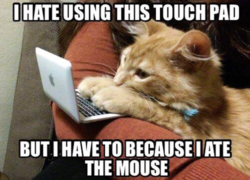 Mouse?